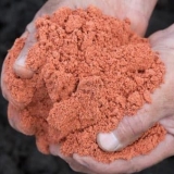 Kako hraniti ribizle nakon branja bobica i tokom zrenja